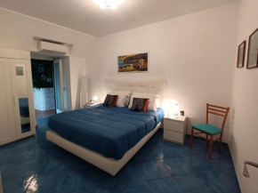 Casa Emi sea view with lemon garden